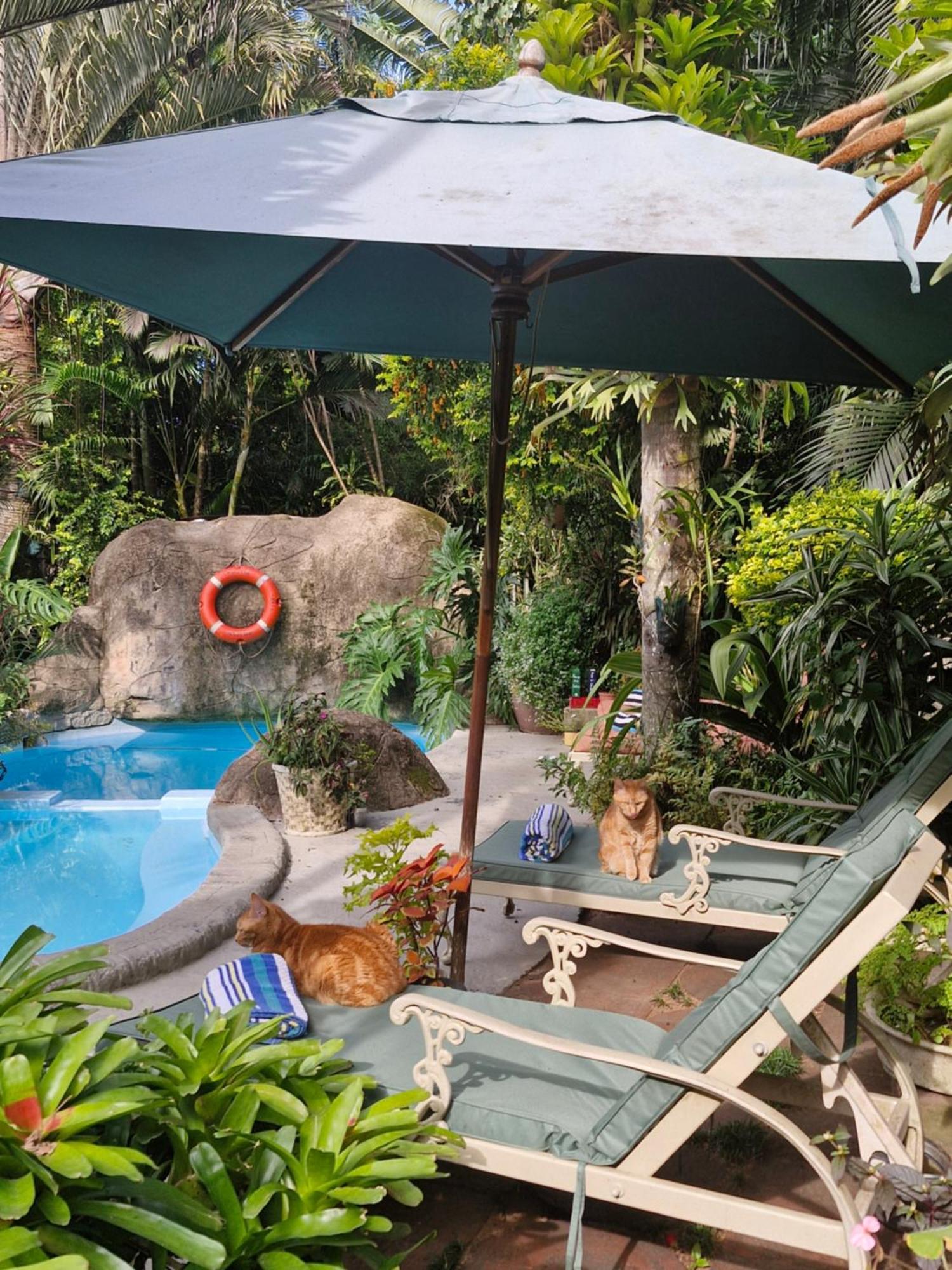 African Ambience Guest House Saint Lucia Estuary Esterno foto