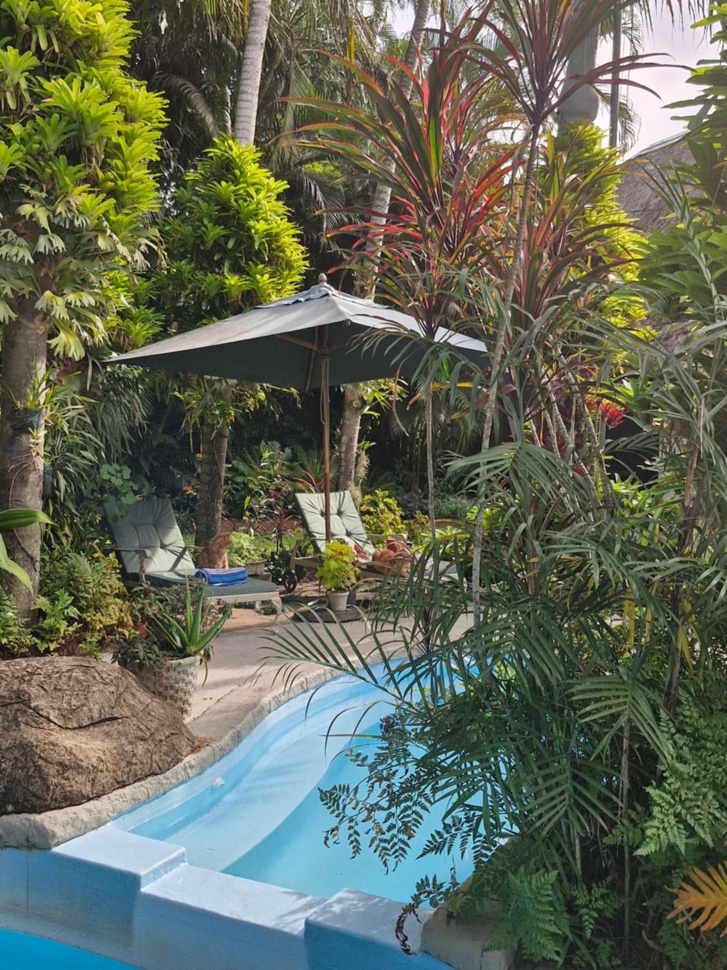 African Ambience Guest House Saint Lucia Estuary Esterno foto